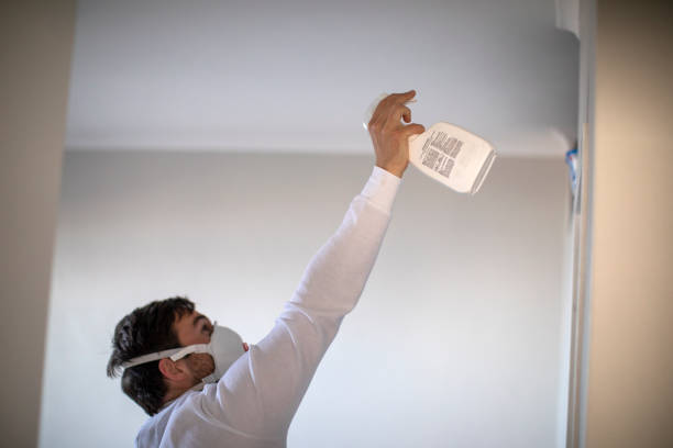 Best Mold Removal Company Near Me  in Pflugerville, TX