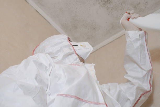 Best Home Mold Removal  in Pflugerville, TX