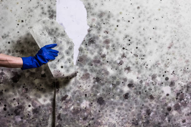 Water Damage Restoration in Pflugerville, TX