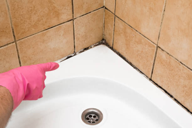 Best Mold Testing  in Pflugerville, TX